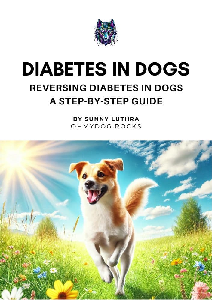 Reversing Diabetes in Dogs